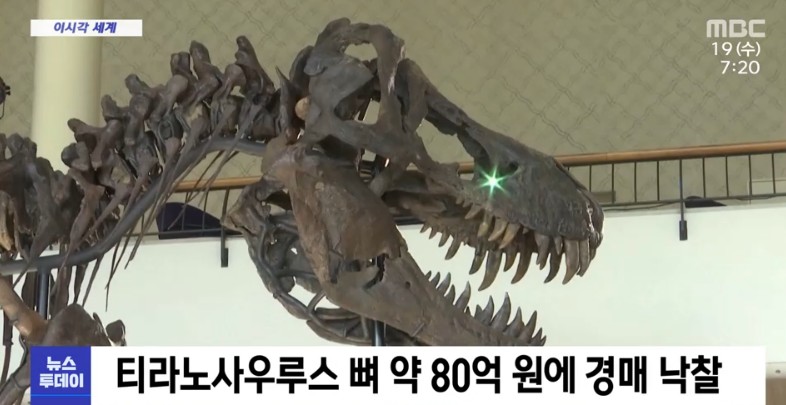 티라노사우루스 화석 80억에 낙찰!